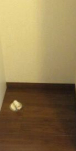 ジュネス中野坂上の設備|室内洗濯機置き場です☆（同一仕様写真）
