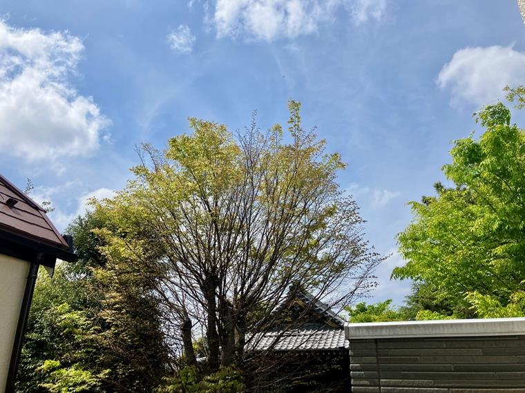 南花島戸建の展望