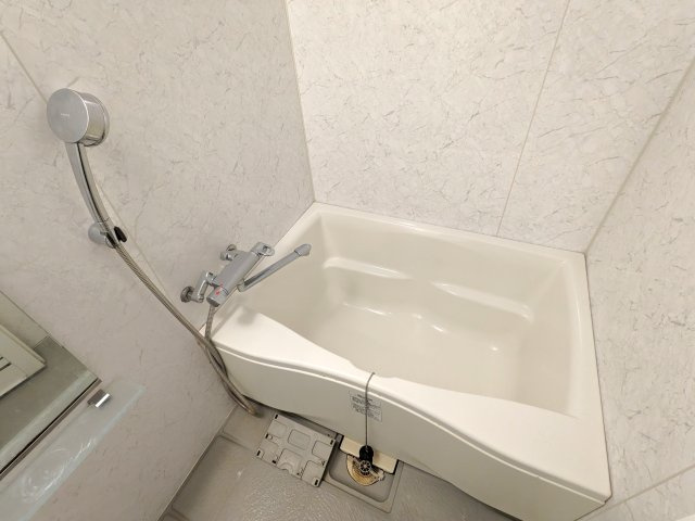 ハーモニーレジデンス東京イーストの浴室