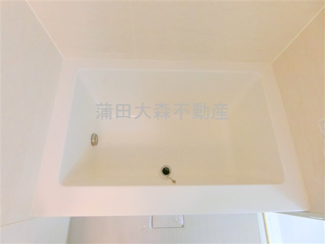 ブライズ蒲田ウエストWESTの浴室