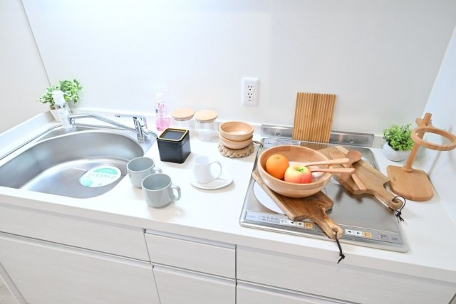 ロックフォレストのキッチン|システムキッチン（2口IHコンロ）※家具・小物はイメージです