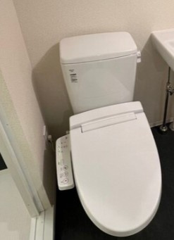 trias362のトイレ