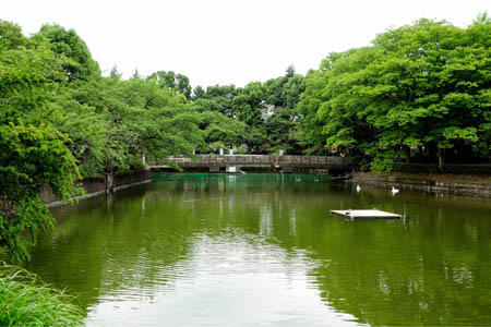 サンモールクレスト |鹿沼公園まで776m