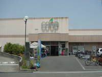 コープ渋沢店まで480ｍ