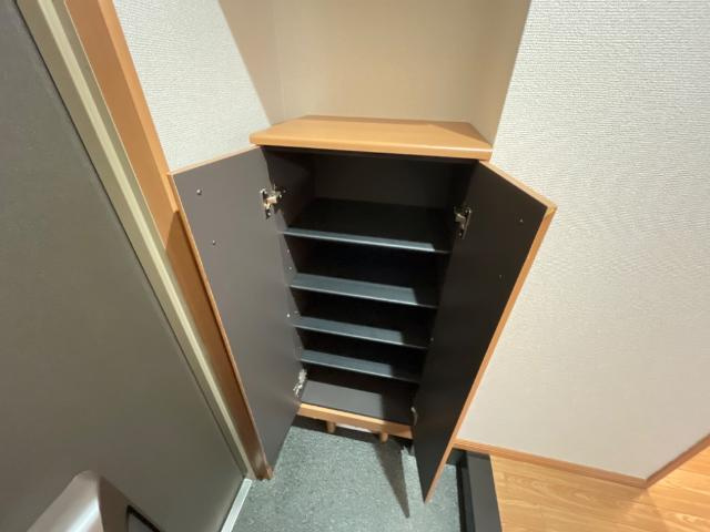 エクセレンスハイム仁田駅前の収納|下駄箱