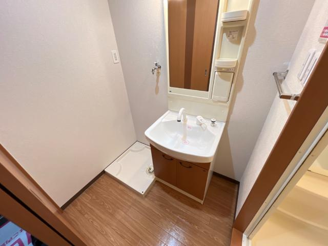 エクセレンスハイム仁田駅前の洗面所|洗面