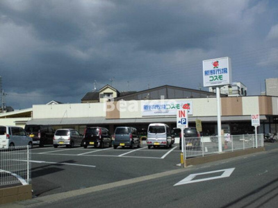 【周辺】 | ウチカイト