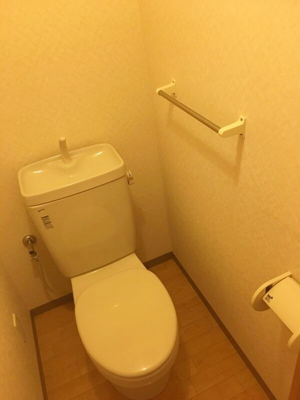 グレーシアのトイレ