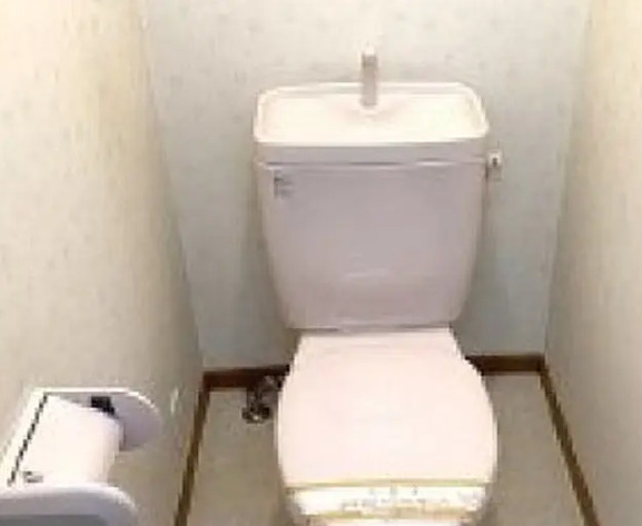 アイル中野のトイレ