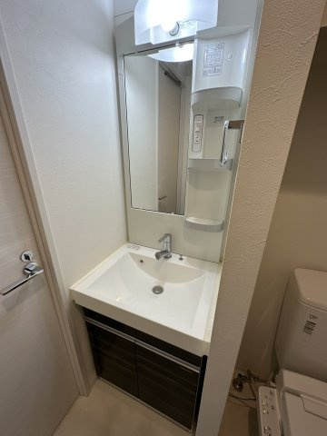 エストゥルース入谷の洗面所