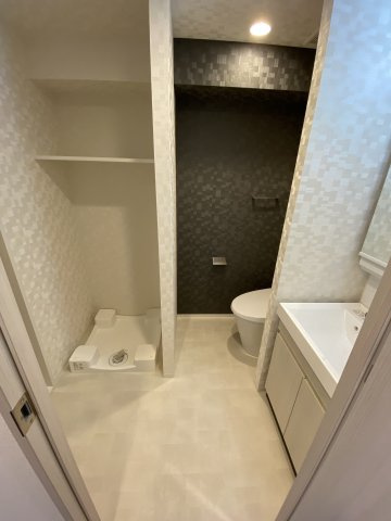 S-RESIDENCE両国緑の洗面所