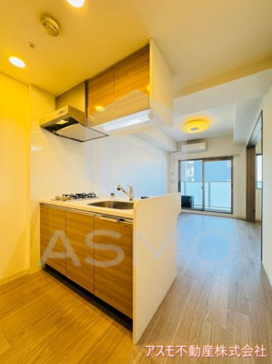 【その他】 | プレサンスOSAKA DOMECITYビーツ | 同マンション別部屋　参考写真