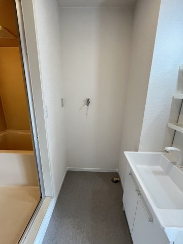 キャリーインの洗面所