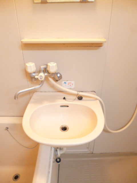 ヘーベルメゾン２１Ａ、Ｂの洗面所|洗面台