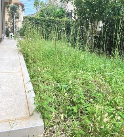 荏田北戸建の庭