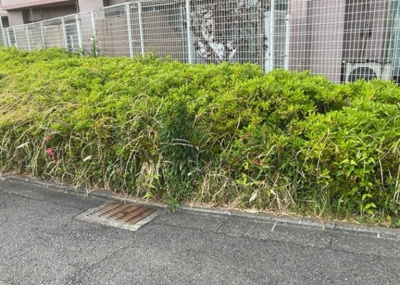 【庭】 | アシェールさがみ野 | 物件によっては、入居者が個人的に使用できる専用庭がついているものもあります。また、住宅の中にある土間の部分を庭と呼ぶこともあります。庭の用途は住む人によって変わり、それによってデザインもさまざまです。