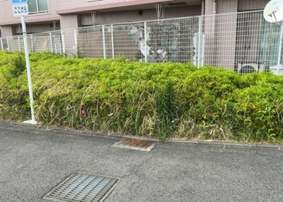 【中庭】 | アシェールさがみ野 | 中庭（パティオ）とは、一つの建築物の内部に設けられた、壁などで囲われている庭のことを指します。コの字型、ロの字型が主流ですが、L字型の中庭もあります。最近では、インテリア性の高さからも人気があります。