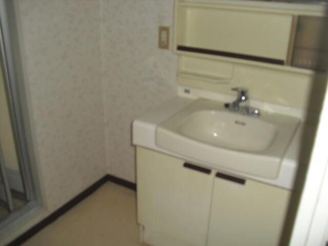 厚木市水引１丁目の賃貸マンションの洗面所