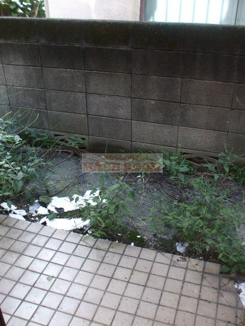 シュ・アイ高円寺のバルコニー|他部屋の参考写真です