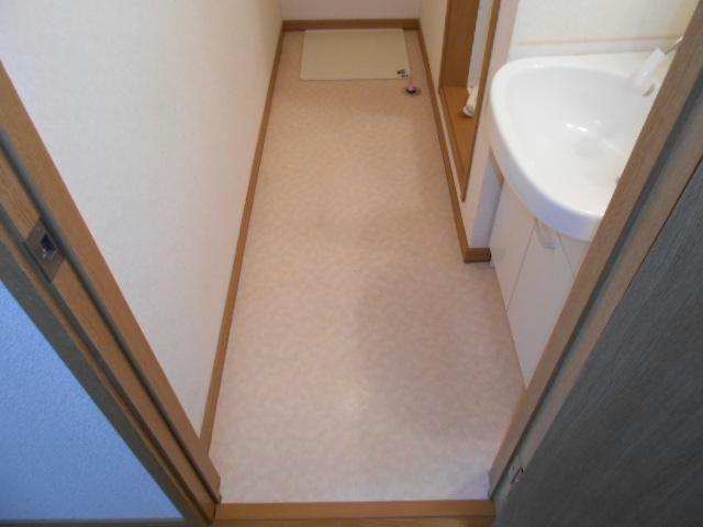 セレーノ壱番館の洗面所