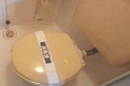 墨田区押上２丁目の賃貸マンションのトイレ