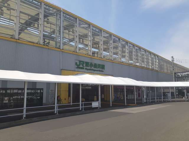 ヴィーナスの周辺
