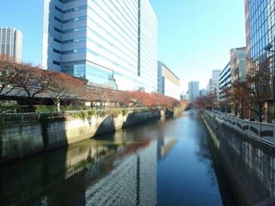 【その他】 | プライム目黒