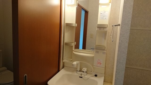 シャインヒルズA棟の洗面所