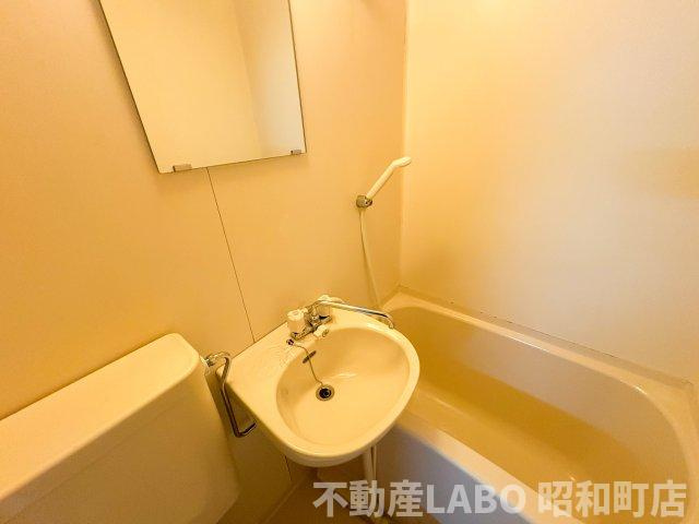 サンハイツ山之内の洗面所