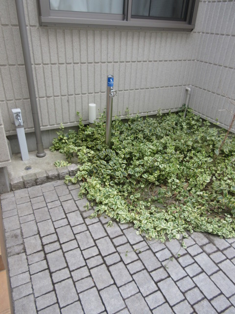ラ　メゾン　パラディのその他共用部分|★ペット足洗い場★
