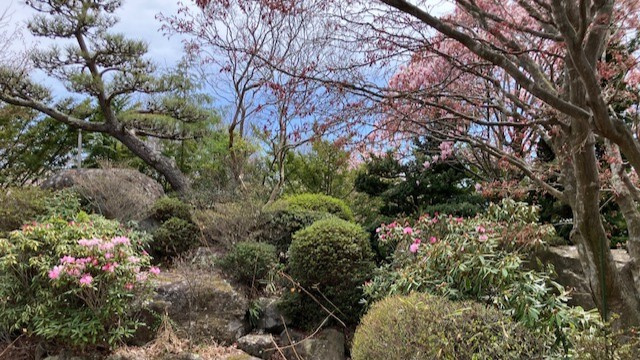 御代田  手入れされた植栽が美しい7LDKの中古戸建の庭