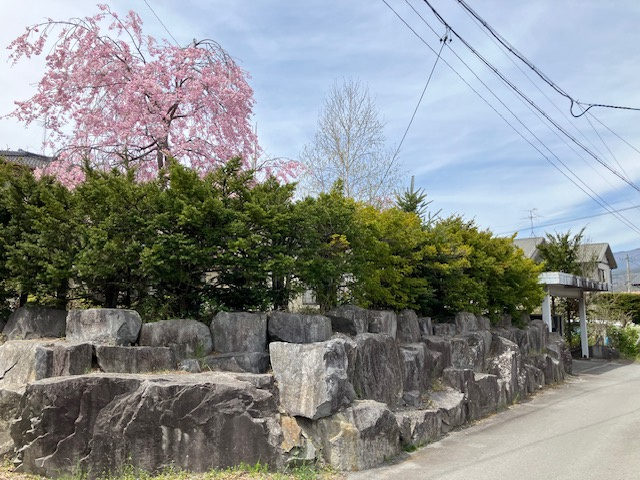 御代田  手入れされた植栽が美しい7LDKの中古戸建の前面道路含む現地写真