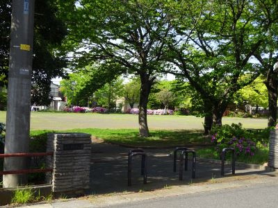【周辺】 | 平塚市平塚3丁目：新築戸建て | 物件より北へ約40メートルの大きな公園！