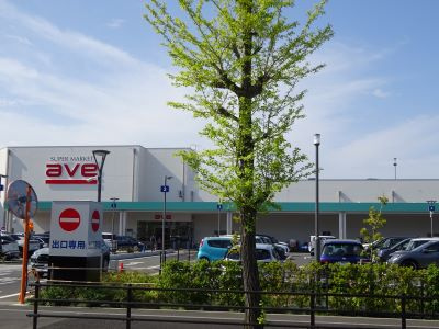 【周辺】 | 平塚市平塚3丁目：新築戸建て | 日常のお買い物は、至近の大型商業店舗へ！※車で約5分！