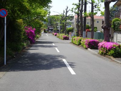 【前面道路含む現地写真】 | 平塚市平塚3丁目：新築戸建て | 物件南面の道路（公道）交通量は極めて少なく、車の出し入れも余裕を持ち行えます！