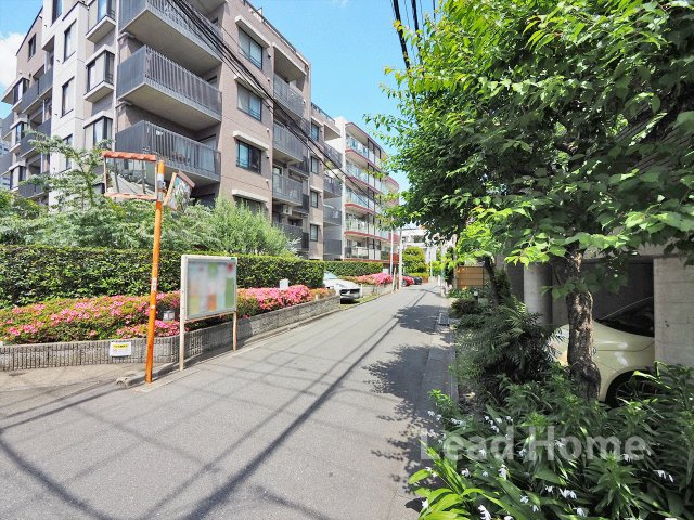 【前面道路含む現地写真】 | 渋谷区代々木3丁目