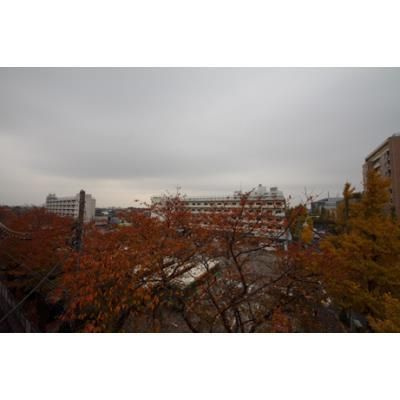 梅里１・１５・１１の展望