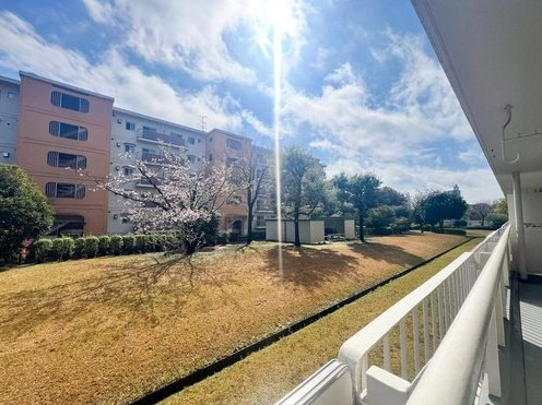 の-の画像