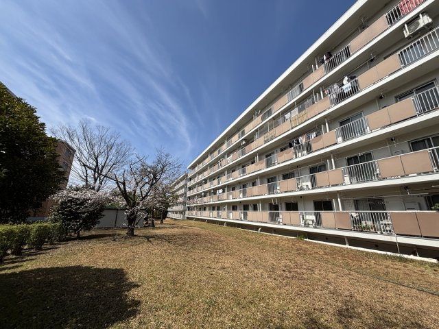 の-の画像