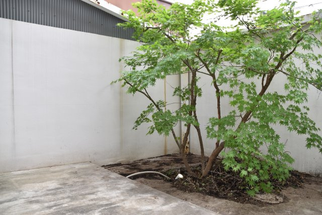 梅小路公園北 洗練の奥に、やさしさ宿る家の庭|テラスにテーブルや椅子を置いても◎