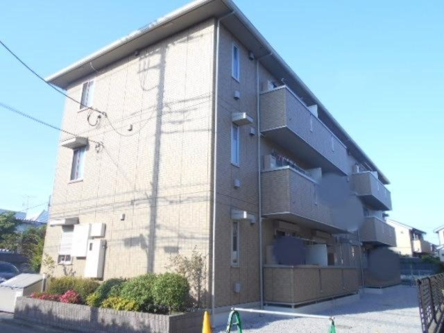 オリーブ