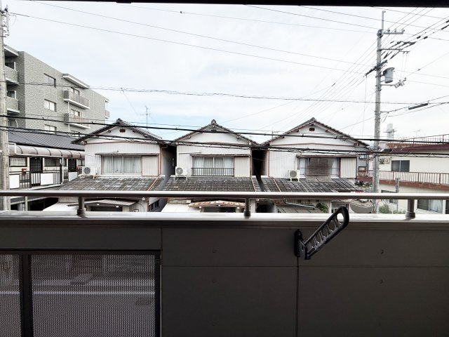 さんさんハウスの展望