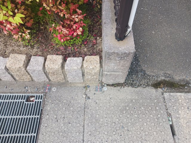 【その他】