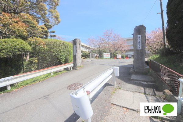 サニーハイツ生駒の周辺|小学校「生駒市立桜ケ丘小学校まで755m」