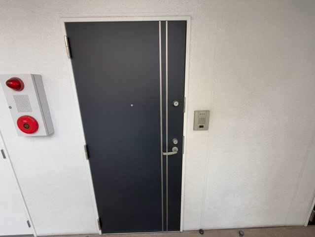ラシュレエグゼ難波西の玄関