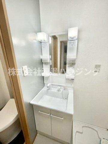 セレブ中宮の洗面所