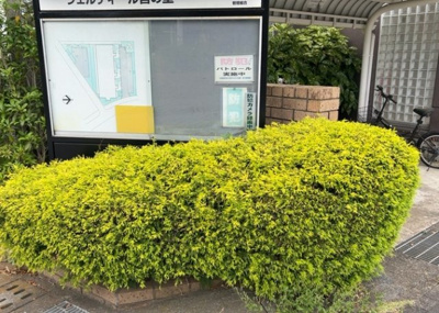 【庭】 | ヴェルディール宮の里 | 物件によっては、入居者が個人的に使用できる専用庭がついているものもあります。また、住宅の中にある土間の部分を庭と呼ぶこともあります。庭の用途は住む人によって変わり、それによってデザインもさまざまです。