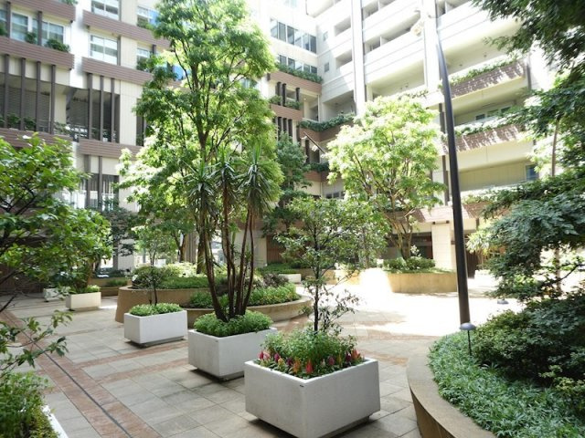 中庭