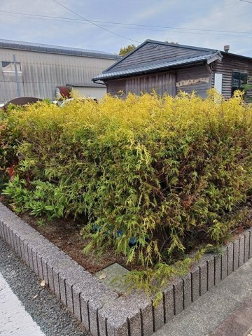 カロスアンセ弐番館のその他