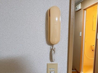 レオパレスドミールのその他